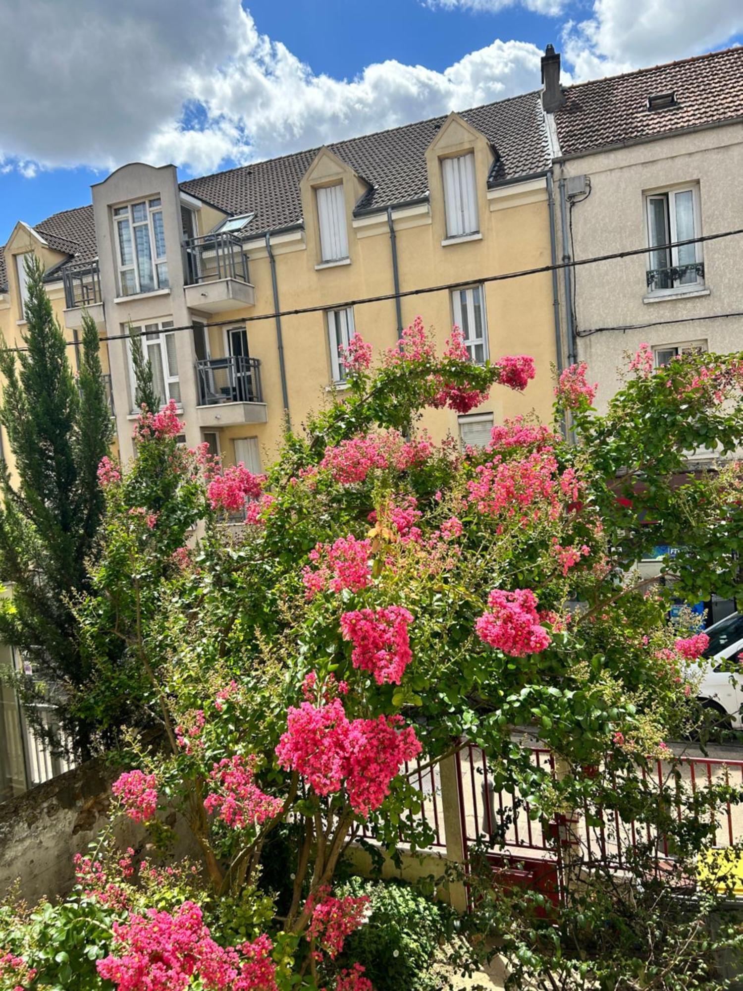 F3 Au Grenier D'Une Maison Massy  Exteriér fotografie